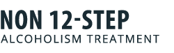 Non12Step Logo